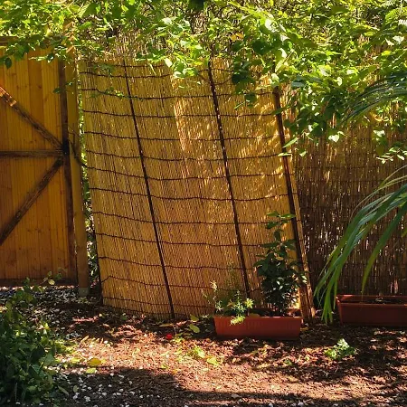 Privat bolig Cozy In